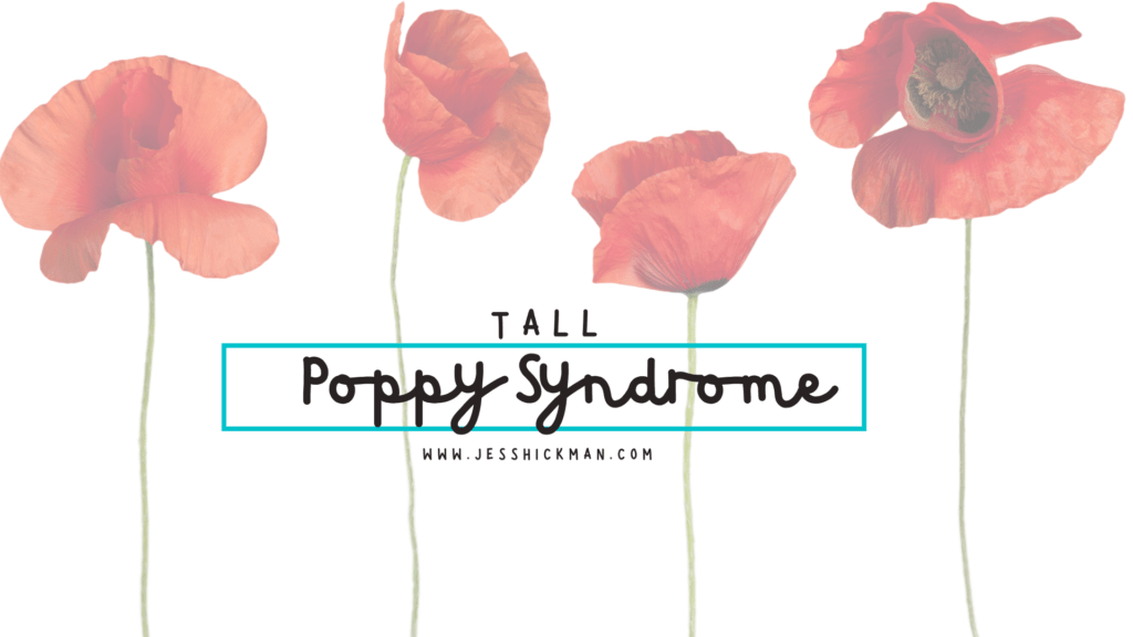 Tall Poppy Syndrome detriment